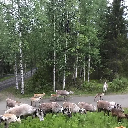 Mama Bear - Near By The Slopes And Village Appartement Ruka